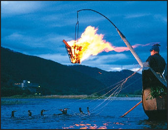 In traditional river environments all over Japan tourists can watch how fish are caught the old way, called ukai, using cormorants