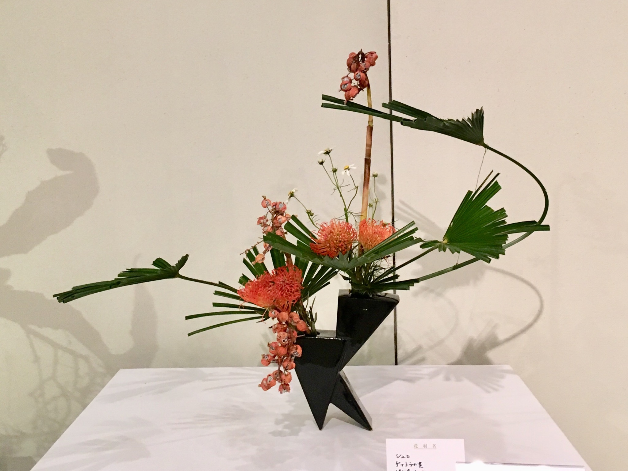 Contemporary ikebana from the heart of Japan! Learn more!